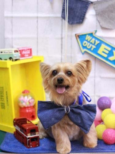 20230420ちゃあすけくん